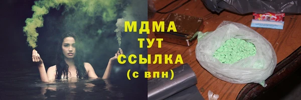 PSILOCYBIN Богданович