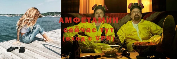 мяу мяу мука Аркадак
