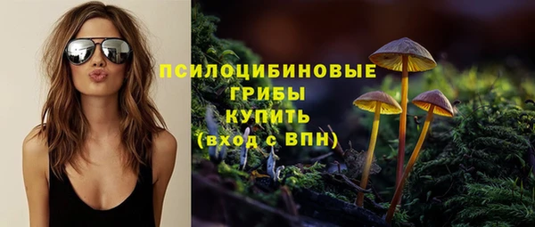 мяу мяу мука Аркадак